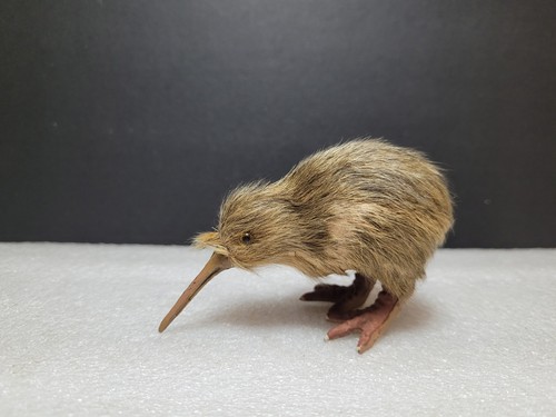 Vintage kiwi bird - vintage,