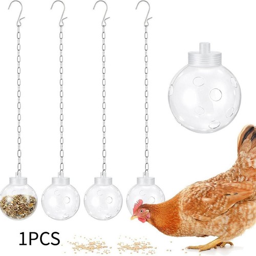 Chicken foraging treat - chicken,