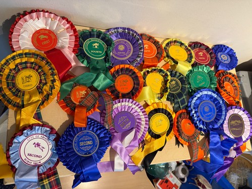Vintage scottish 90s horse - scottish,