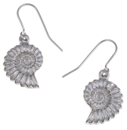 Justin ammonite fossil - ammonite,