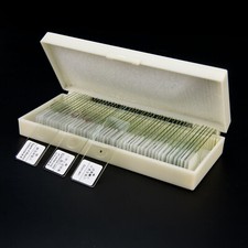 50pcs microscope prepared - 50pcs,