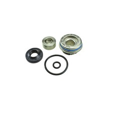Oil water pump seal kit - oil,