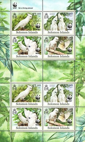 Wwf white cockatoo - white, birds/bird