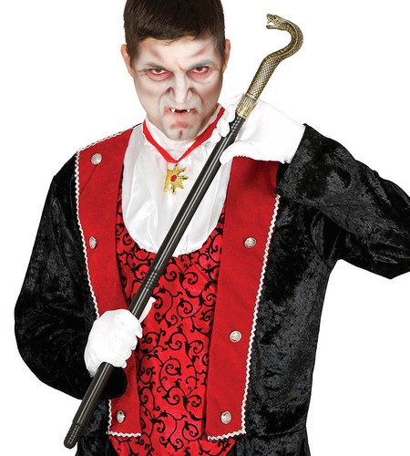 Snake walking stick cane head - stick,