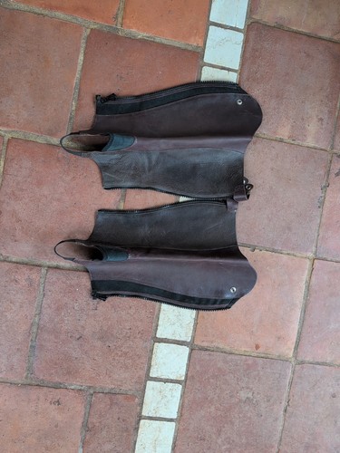 Ariat close contour show - close, chaps
