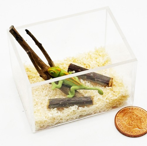 Dolls house lizard pet a - dolls,