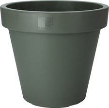 Green large plant - pot, round