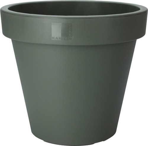 Green large plant - large, pot