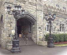 Street light Garden lamp 5