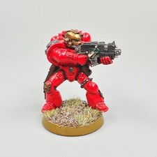 Blood Angels Character Painted