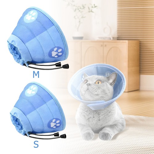 Anti bite pet recovery - anti-bite,