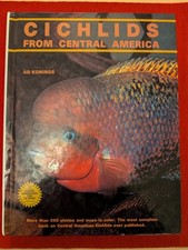 Cichlids from Central