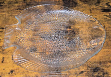 Arcoroc Fish Shaped Dinner