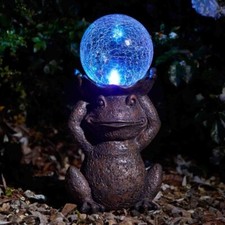 Gazing Frog Light Up Garden