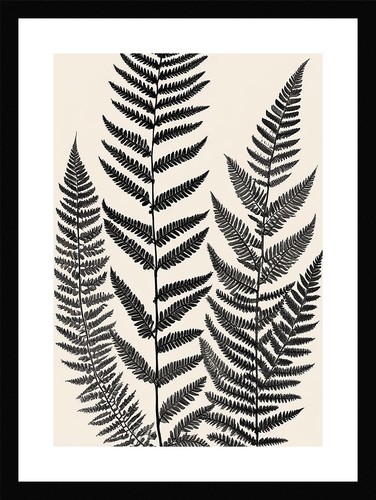 Pristine fern fronds - fronds, print
