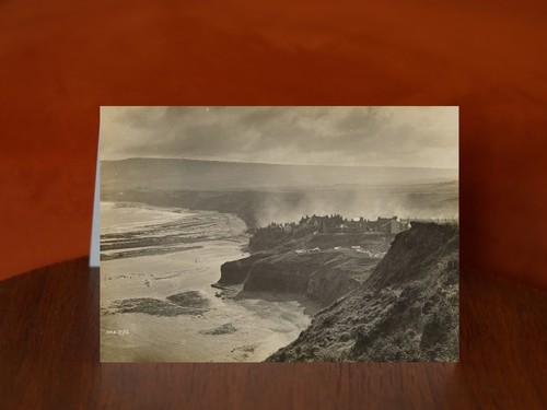 Houses along coast - ,, robin