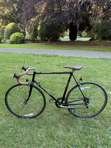 Raleigh record sprint - raleigh,