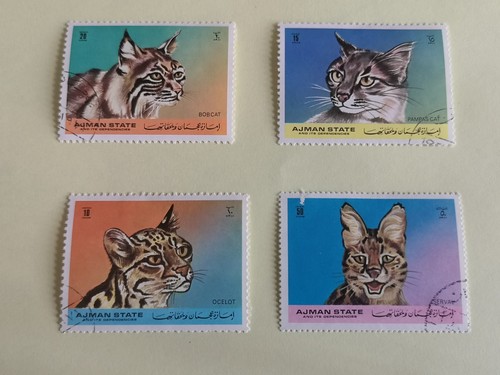 Vintage ajman wild cat - wild,