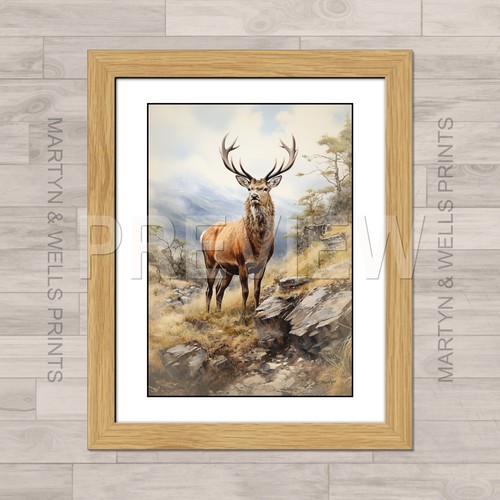 Highland stag watercolour - stag,