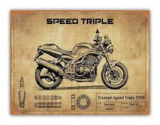 Triumph Speed Triple Style