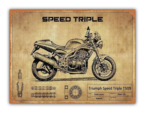 Triumph speed triple style - speed,