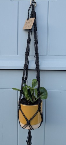 Macramé hanging basket plant - macramé,