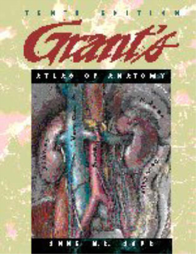 Grants atlas anatomy - of,