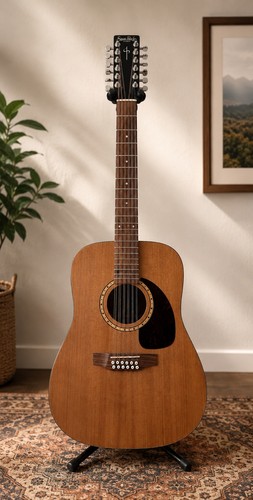 Simon patrick 12 string - simon,