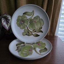 Denby Troubadour 10" Dinner