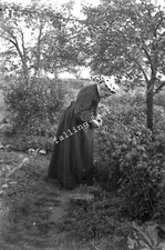 VICTORIAN LADY Fruit Picking