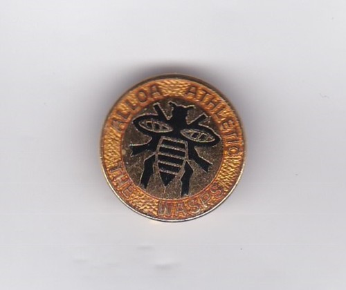 Alloa athletic the wasps - alloa, "