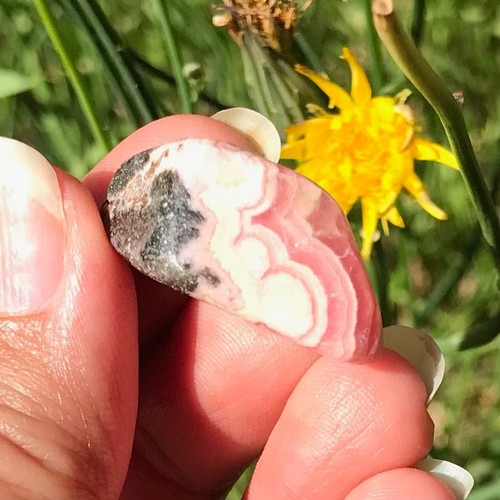 Rhodochrosite cab cabochon - rhodochrosite,
