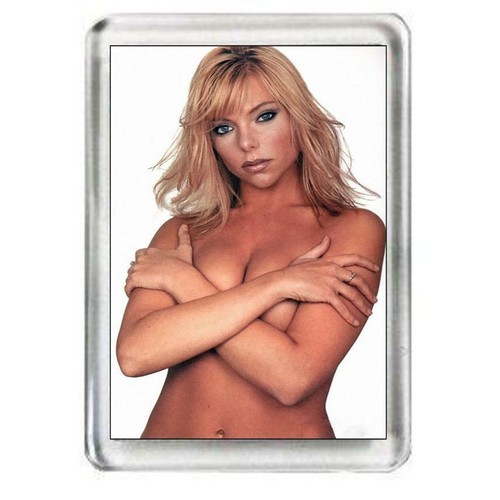 Samantha janus sexy fridge - sexy,