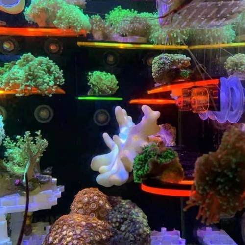 Fish tank acrylic - acrylic, rack