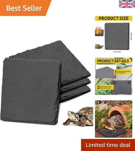 Natural 10x10cm turtle basking - natural,