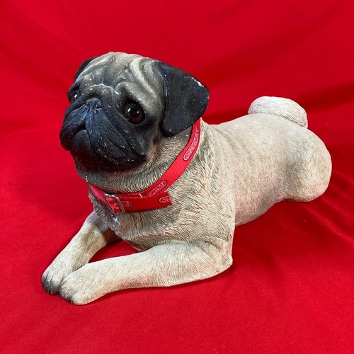 Sandicast sandra brue pug - sandra,