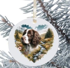 Springer Spaniel Hanging