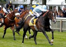 Lifetime best lay backing - best,