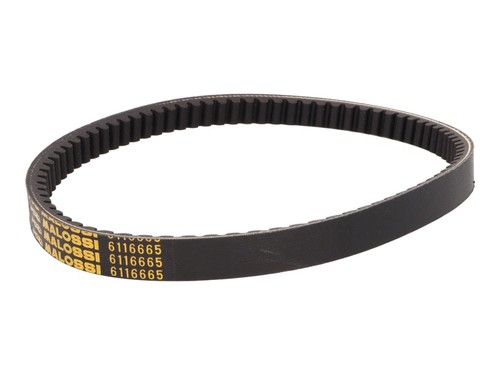 Drive belt malossi mhr k - x,