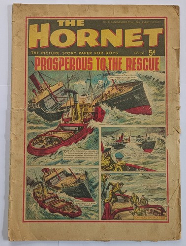 The hornet 116 november - 116, 27th