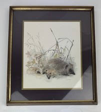 Vintage Mads Stage Wildlife Watercolour Picture Hedgehog Framed 39cm x 33cm