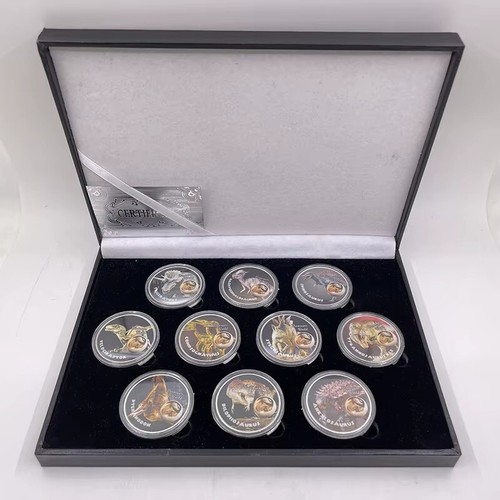 Dinosaur coin set box - set,