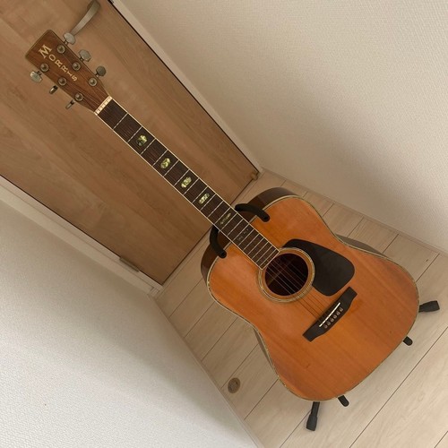 Morris acoustic guitar - morris,