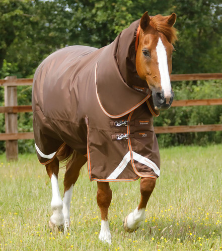 Premier equine titan 300g - premier,
