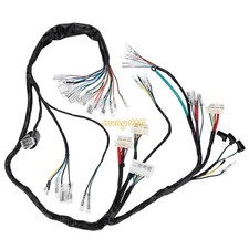 Main Wiring Harness