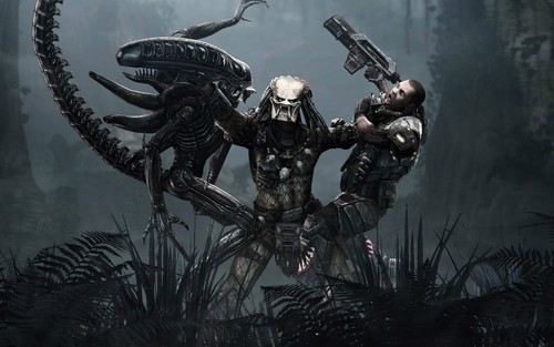 Alien predator 1 poster - alien,