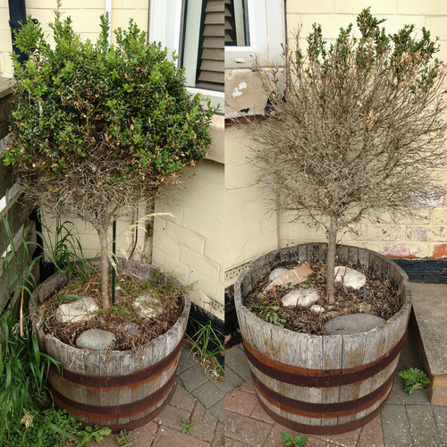 Giant garden planter half - planter,