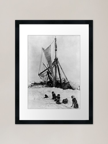 Ernest shackleton antarctic - ernest,