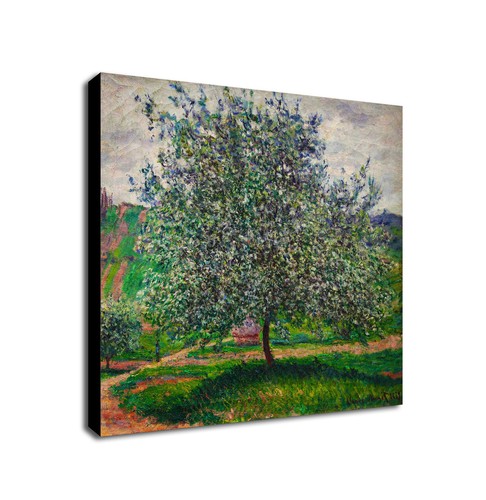 The apple tree - apple, by