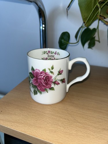 Fine bone china crown trent - crown,